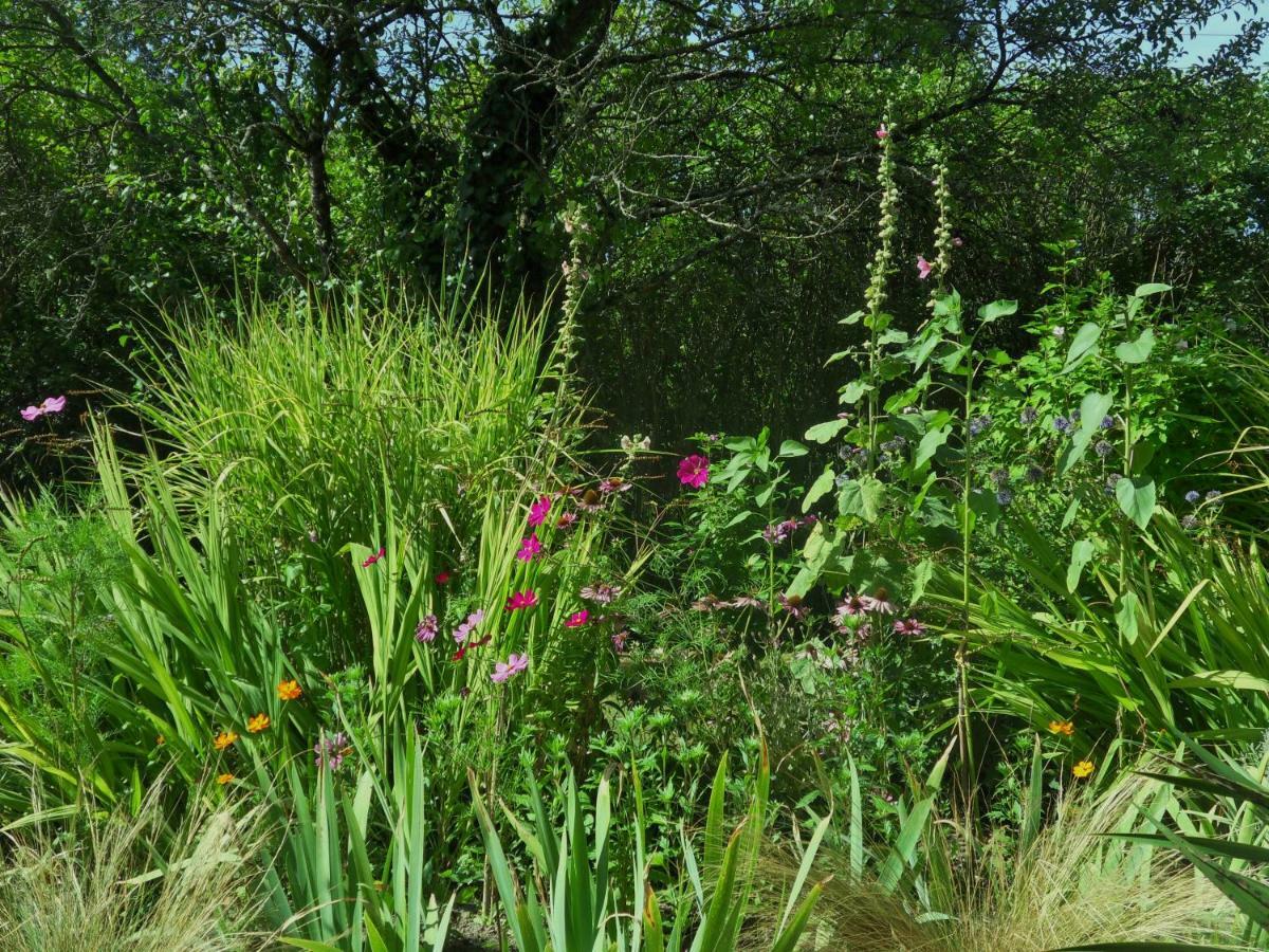 Troglodelice Bed & Breakfast Azay-le-Rideau Luaran gambar