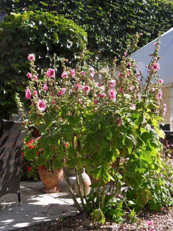 Troglodelice Bed & Breakfast Azay-le-Rideau Luaran gambar