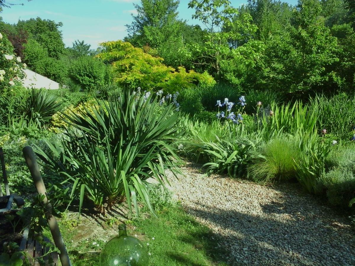 Troglodelice Bed & Breakfast Azay-le-Rideau Luaran gambar