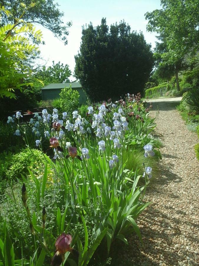 Troglodelice Bed & Breakfast Azay-le-Rideau Luaran gambar