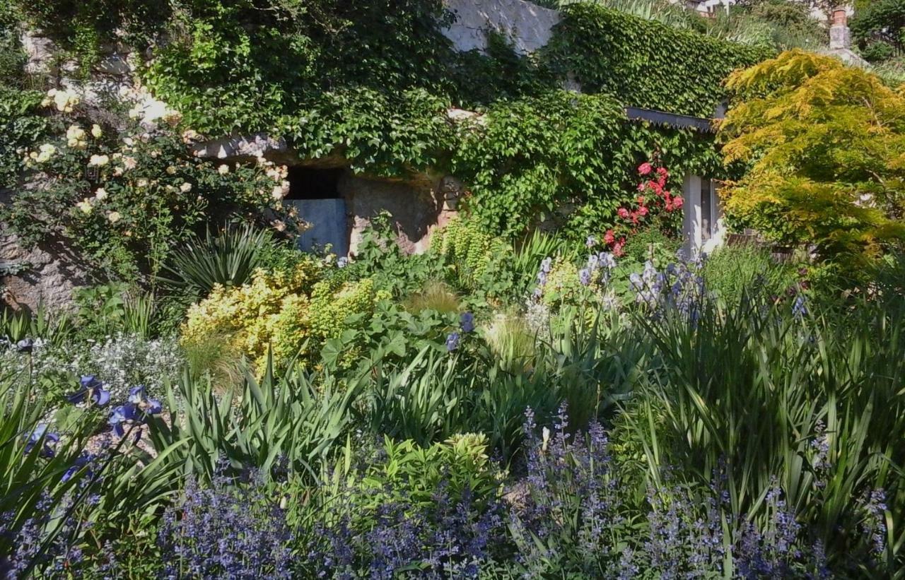 Troglodelice Bed & Breakfast Azay-le-Rideau Luaran gambar
